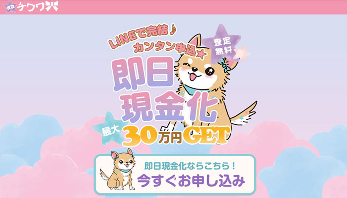 チワワ